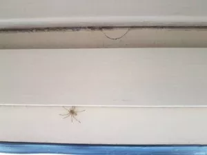 Fotka k příspěvku