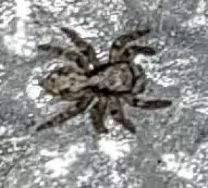 Fotka k příspěvku
