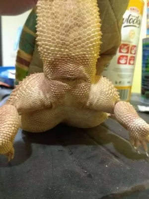 Fotka k příspěvku