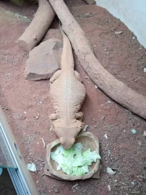Fotka k příspěvku