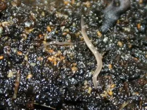 Fotka k příspěvku