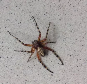Fotka k příspěvku