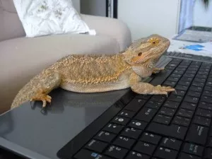 Fotka k příspěvku