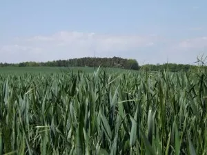 Fotka k příspěvku