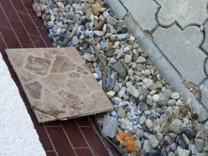 Fotka k příspěvku