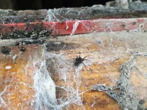 Fotka k příspěvku