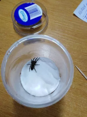 Fotka k příspěvku