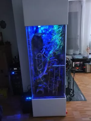 Fotka k příspěvku