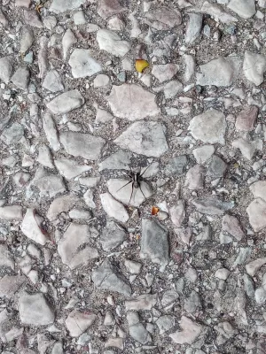 Fotka k příspěvku