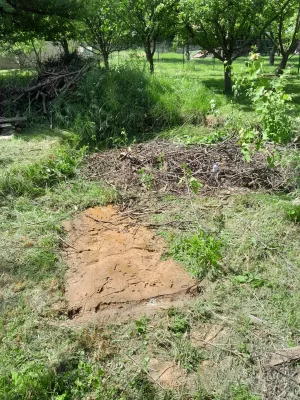 Fotka k příspěvku