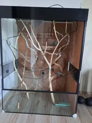 Fotka k příspěvku