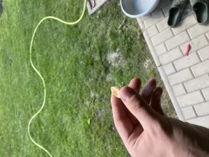 Fotka k příspěvku