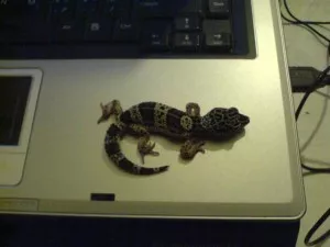 Fotka k příspěvku