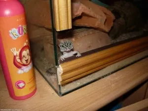 Fotka k příspěvku