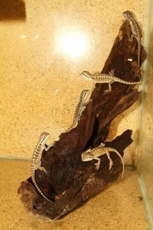 Fotka k příspěvku