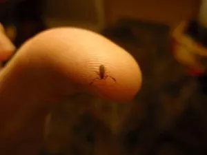Fotka k příspěvku