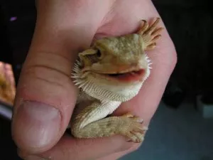 Fotka k příspěvku