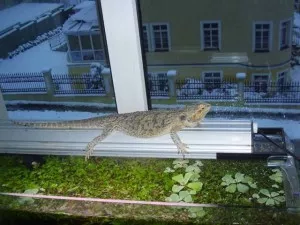 Fotka k příspěvku