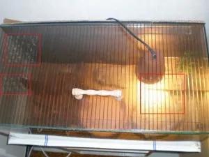 Fotka k příspěvku