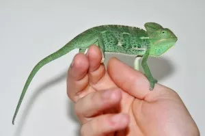 :)