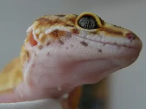 modelka :-)