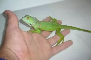 Koupáníčko :)