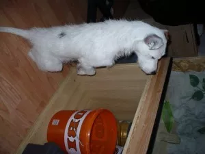 co to? Tam se neco hejblo:-)