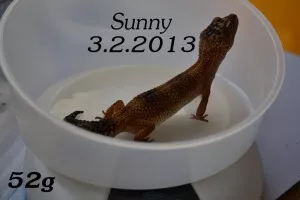 -