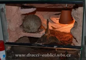 dokončené terárko