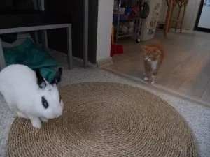 s Matýskem :-)