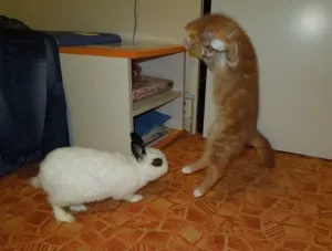 Matýsek a Ferda :D