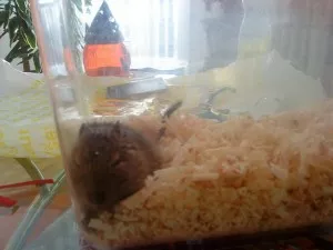 Čendino první foto 2010