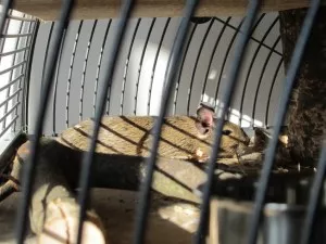 Polední siesta s opalováním