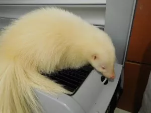 -
