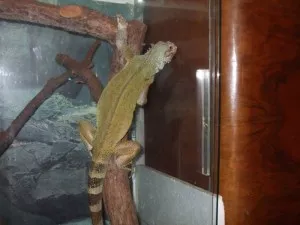 Trocha pohybu