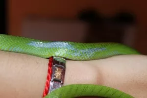 ???