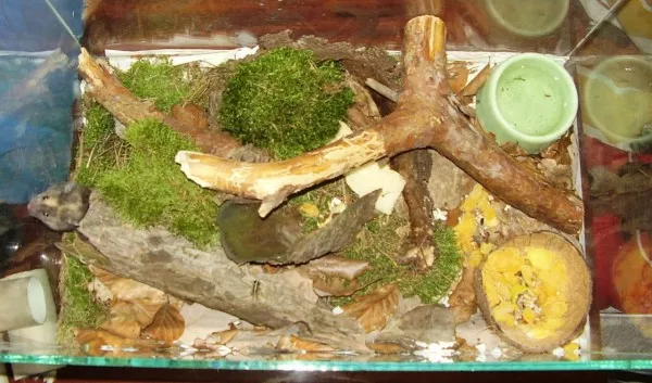 Hlavní fotka