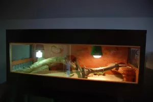 -