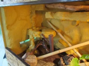 -