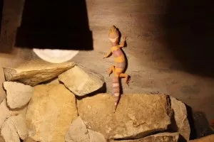 Průzkum prostředí.