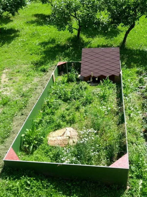 Hlavní fotka