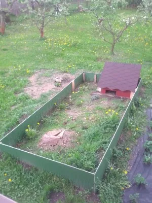Založení