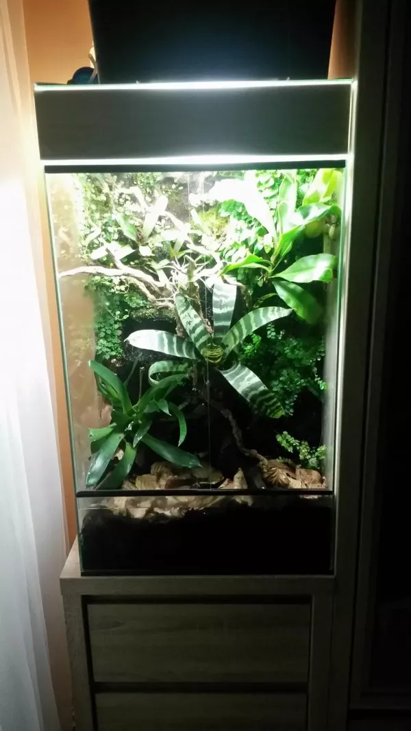 Hlavní fotka