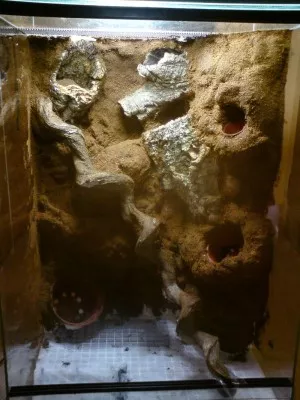 Dokončené pozadí