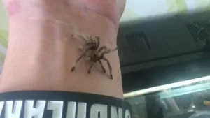 Už roste :)