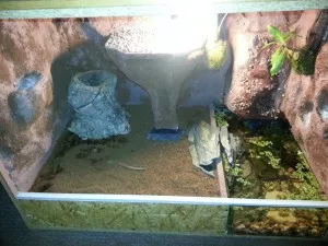Zasazeno akva, nalepení spodní lišty, přidání dekorací a lignocelu