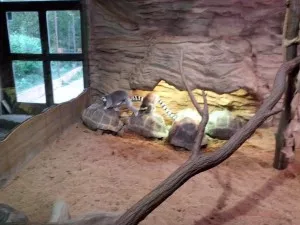 ZOO Plzeň