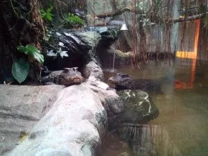 ZOO Plzeň