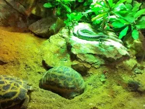 ZOO Plzeň