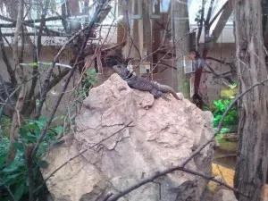 ZOO Plzeň